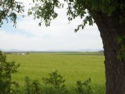 La Campa de Azuaga (Campia Sur de Extremadura)